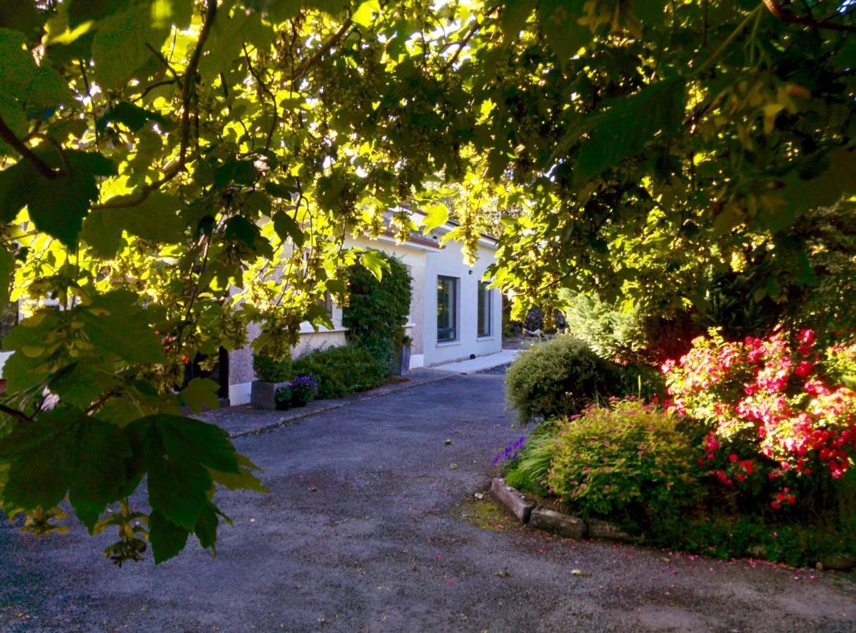 Spacious Contemporary Chalet Type Apartment. Galway Kültér fotó