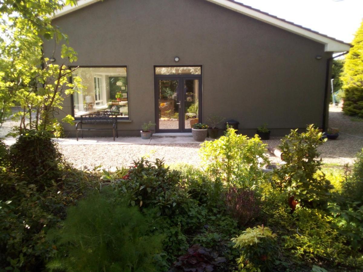 Spacious Contemporary Chalet Type Apartment. Galway Kültér fotó