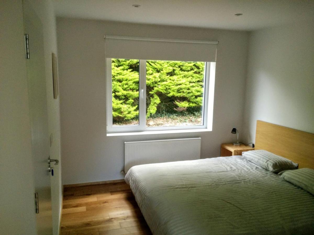 Spacious Contemporary Chalet Type Apartment. Galway Kültér fotó