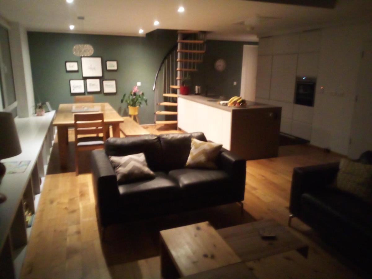 Spacious Contemporary Chalet Type Apartment. Galway Kültér fotó