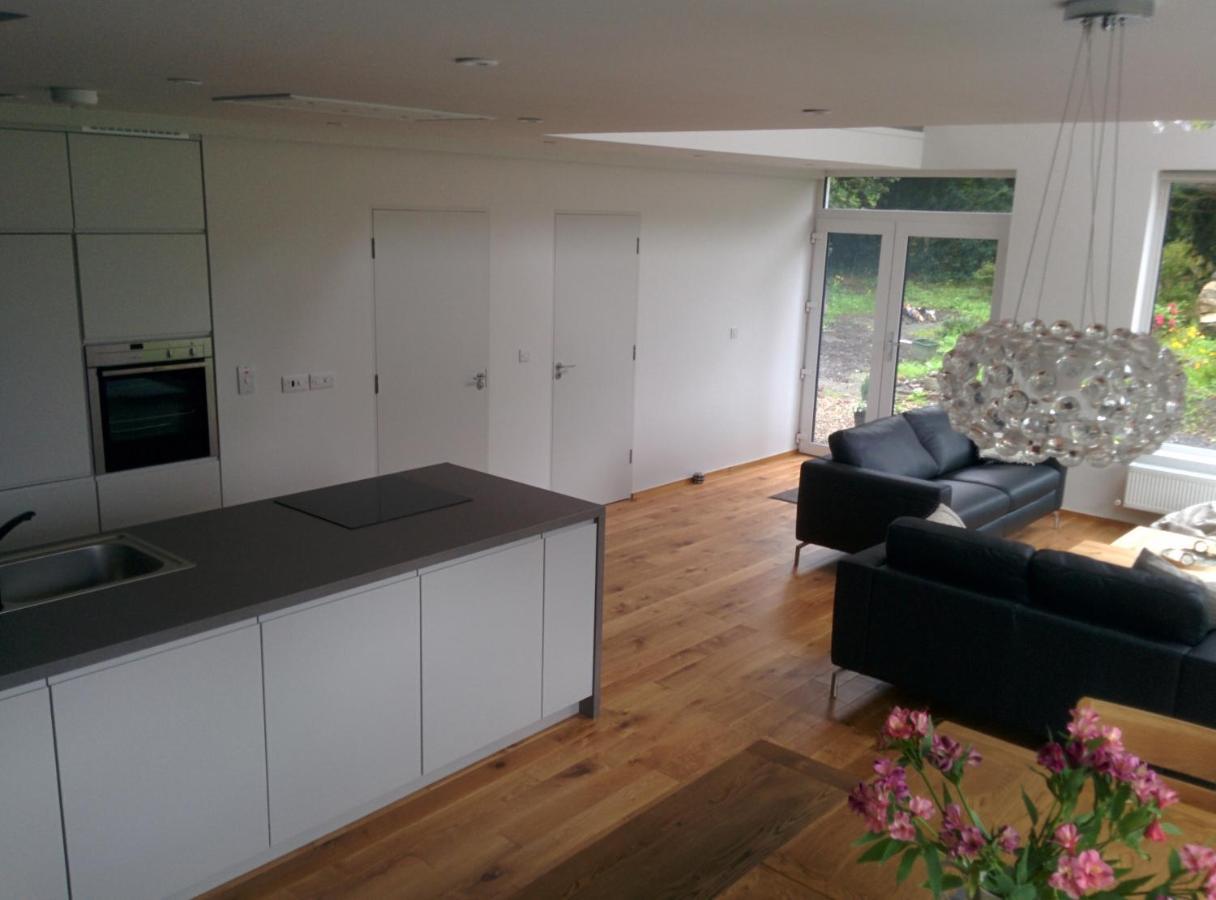Spacious Contemporary Chalet Type Apartment. Galway Kültér fotó