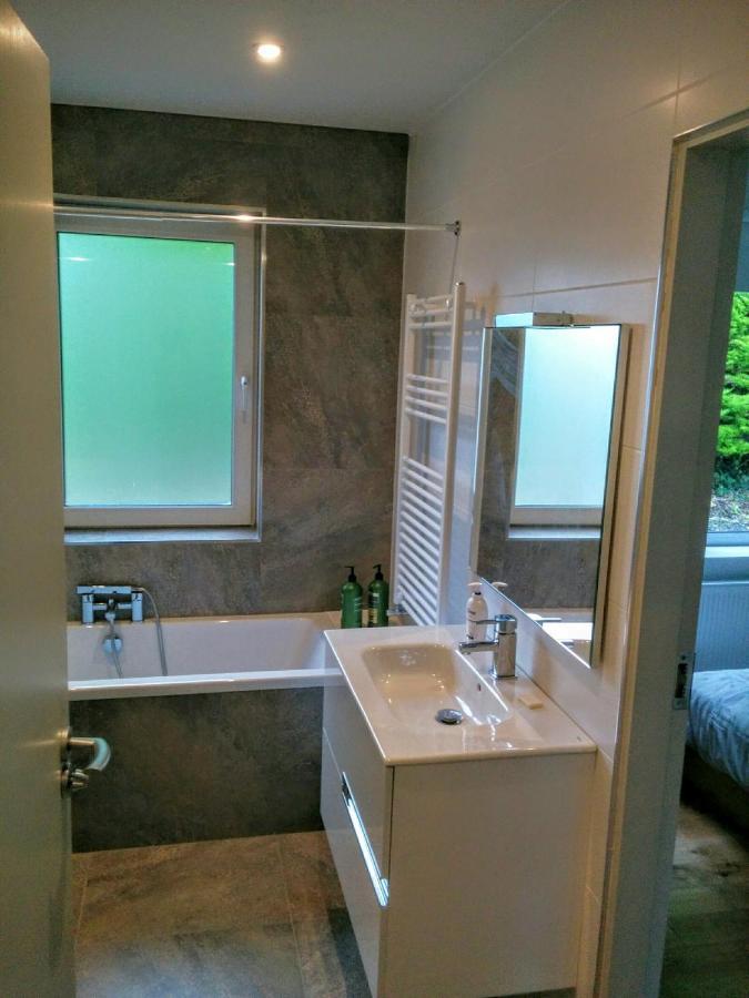 Spacious Contemporary Chalet Type Apartment. Galway Kültér fotó