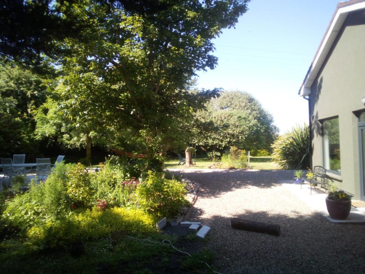 Spacious Contemporary Chalet Type Apartment. Galway Kültér fotó